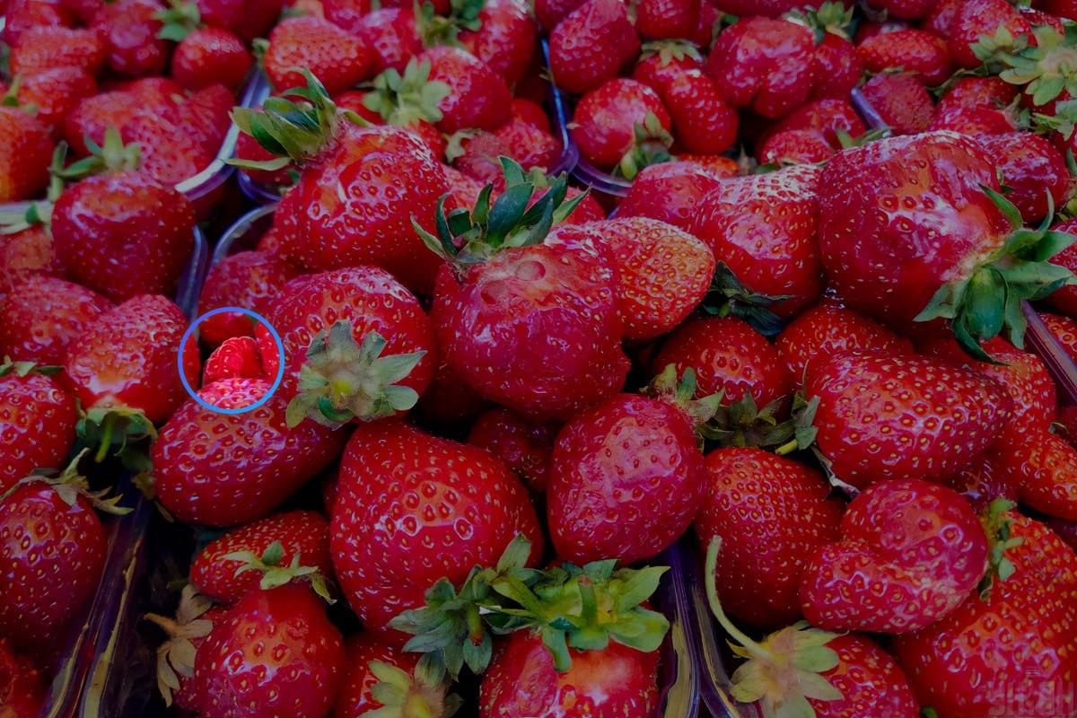 Maline so skoraj na sredini slike / kolaž s fotografijo Moje