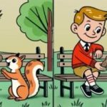 Jaké jsou rozdíly mezi oběma chlapci: najděte tři rozdíly za