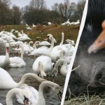 Samo ljudje z izjemnim inteligenčnim količnikom bodo v 10 sekundah