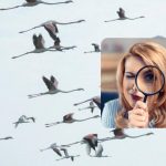 Super zahtevna uganka: preizkusite se v samo 6 sekundah