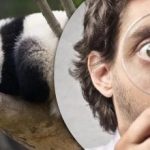 Test ostrého zraku: jen génius by našel tři rozdíly na